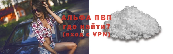 сатива Абинск