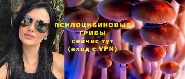 метамфетамин Алексин