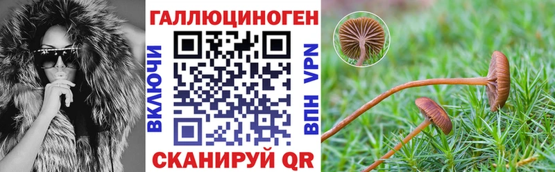 Галлюциногенные грибы ЛСД где можно купить наркотик Шадринск